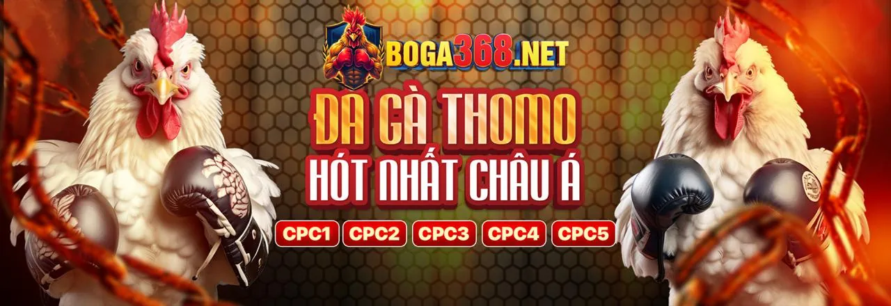 Giao diện đăng nhập an toàn của SCV288 với chủ đề xanh vàng nổi bật