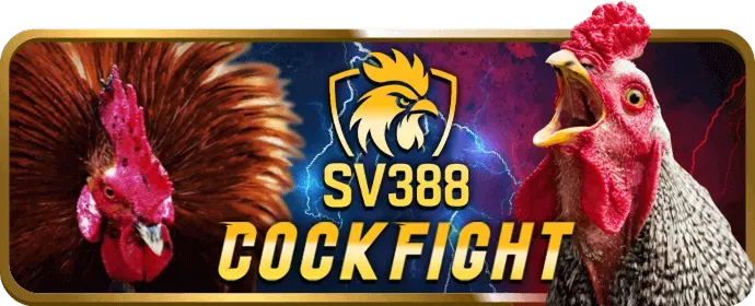 Biểu đồ quản lý tài chính trong game bắn cá